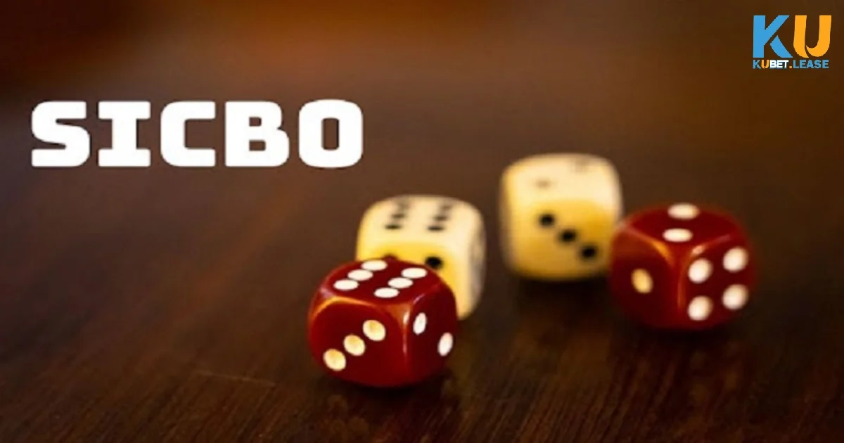 Cuối cùng, bạn cần theo dõi hiệu quả của việc chia vốn mà mình đã thực hiện